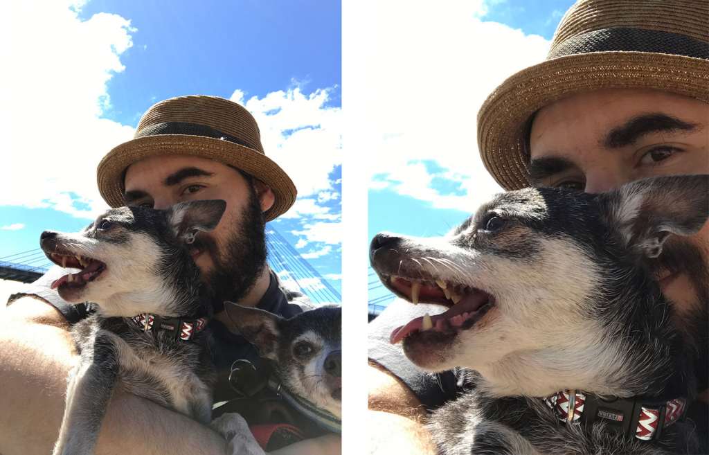 The 7 megapixel selfie camera in daylight on the iPhone 7. Full image on the left, 100 percent crop on the right. 