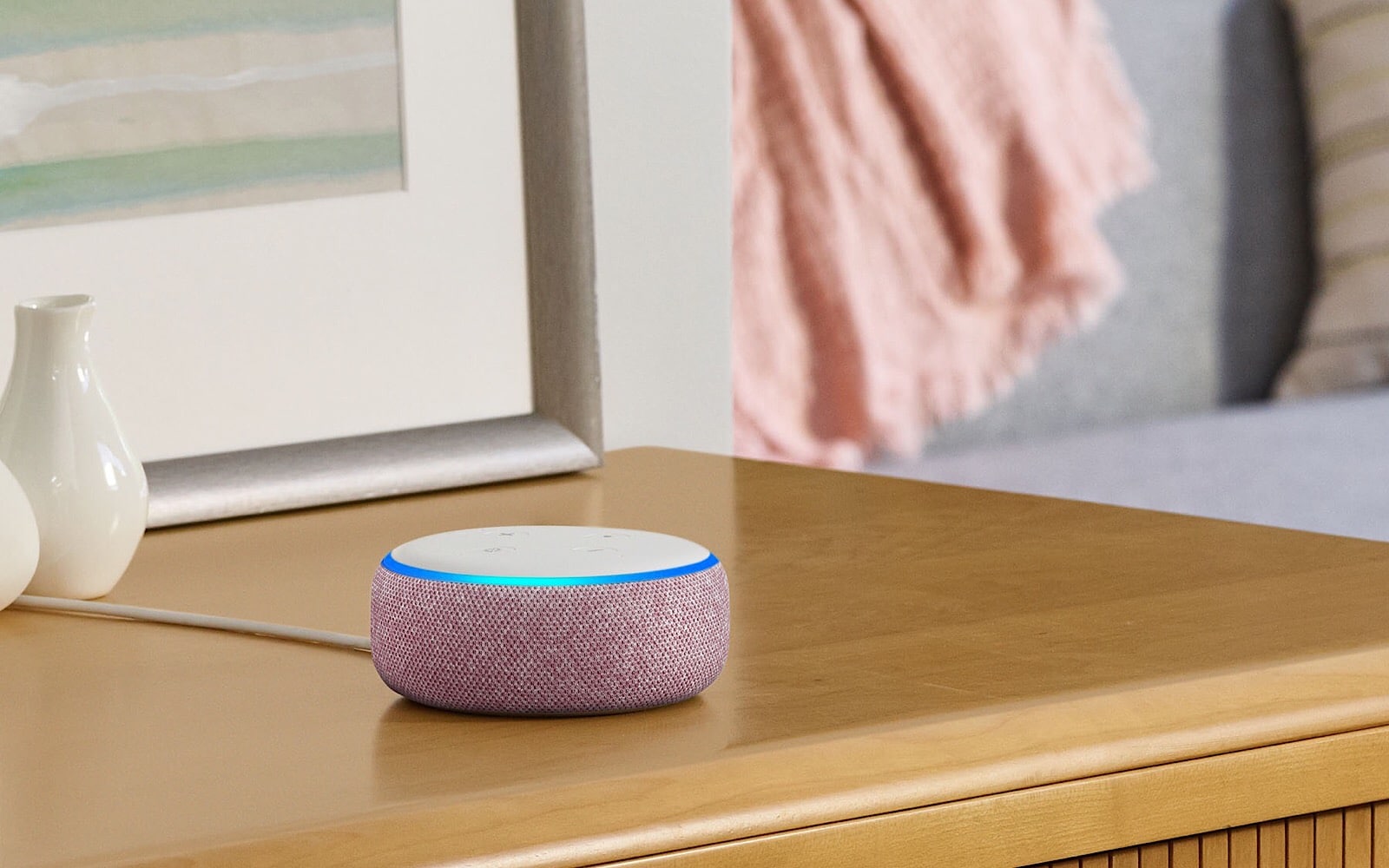 Echo Dot (2019)