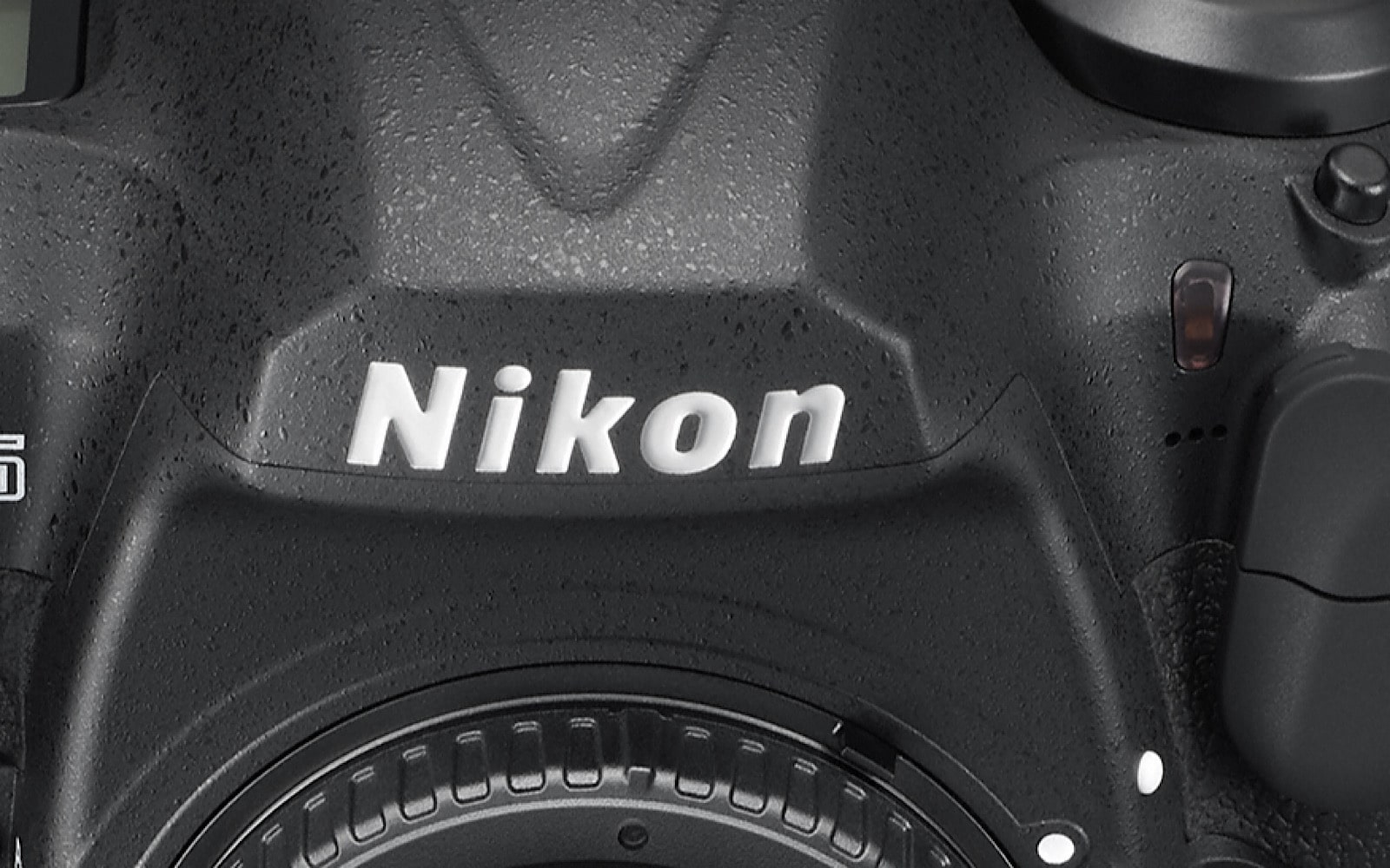 Nikon D-series camera