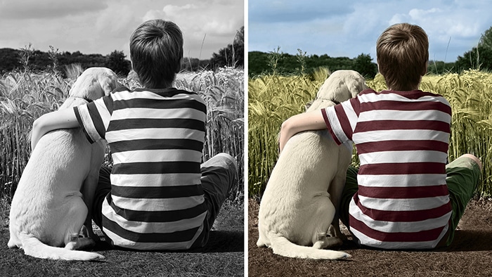 Photoshop Elements 2020's colourisation feature