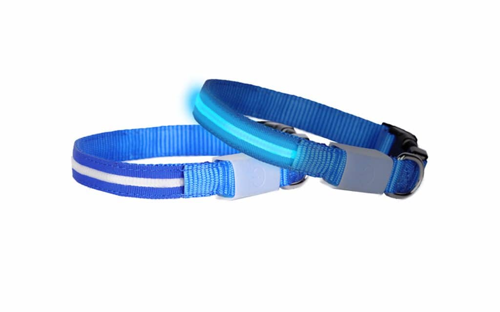 Doglite LED collar