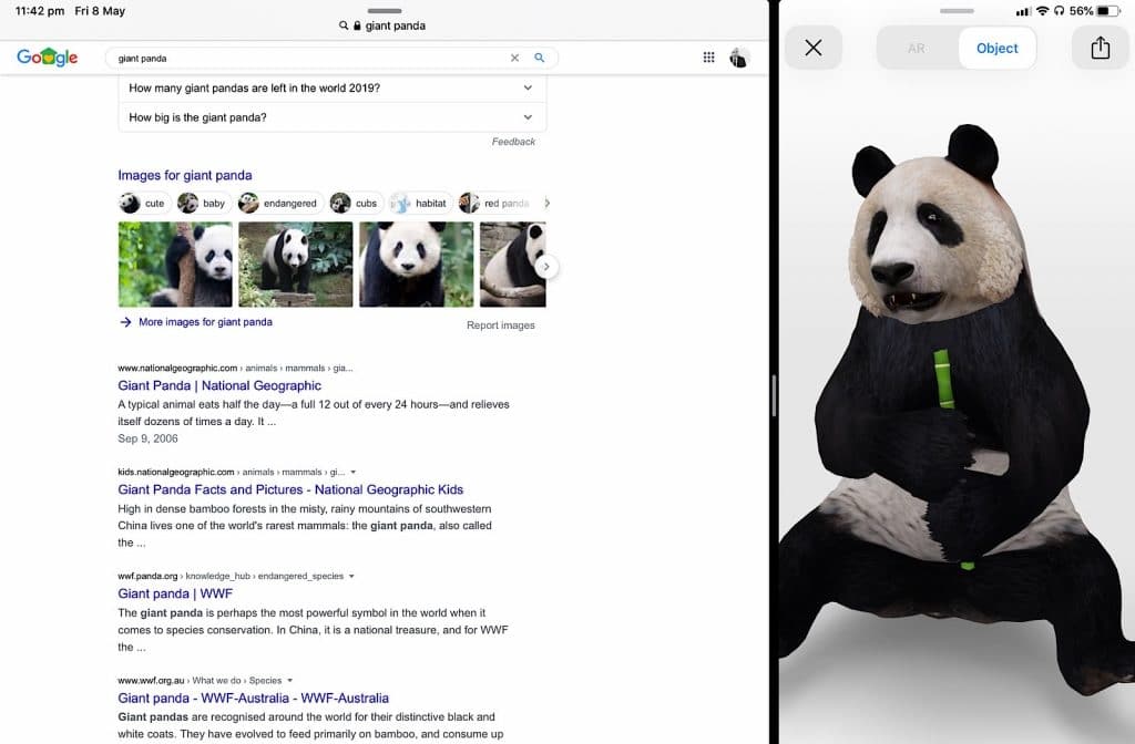 Google's search-based AR working in iPadOS mobile view, but not the standard desktop size