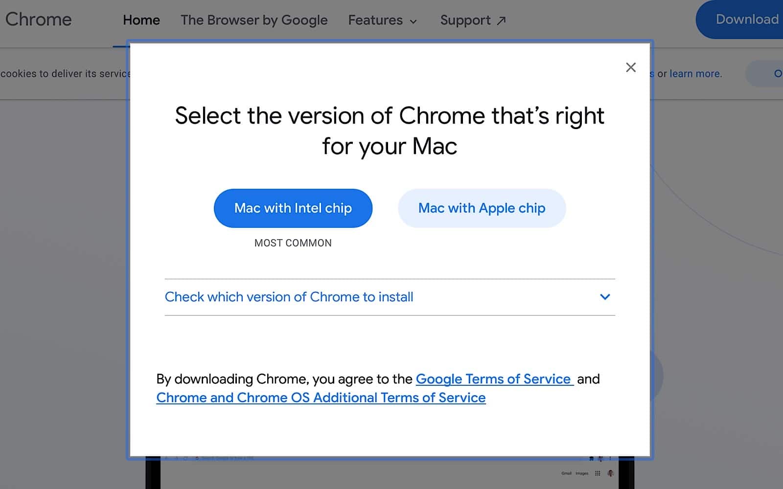 Google Chrome download selection for Intel and Apple Silicon