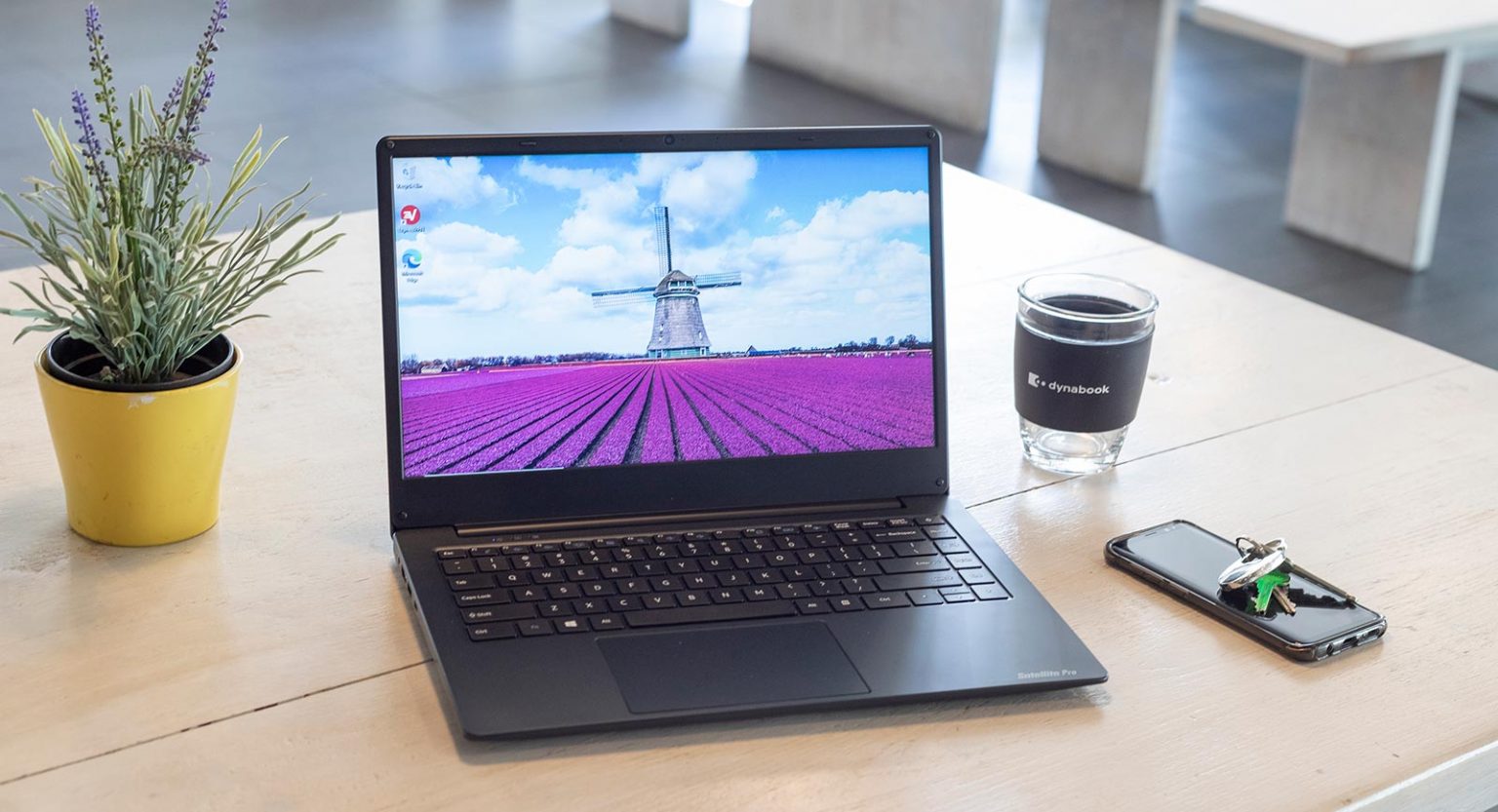 Dynabook revives Toshiba's Satellite laptops in Australia Pickr