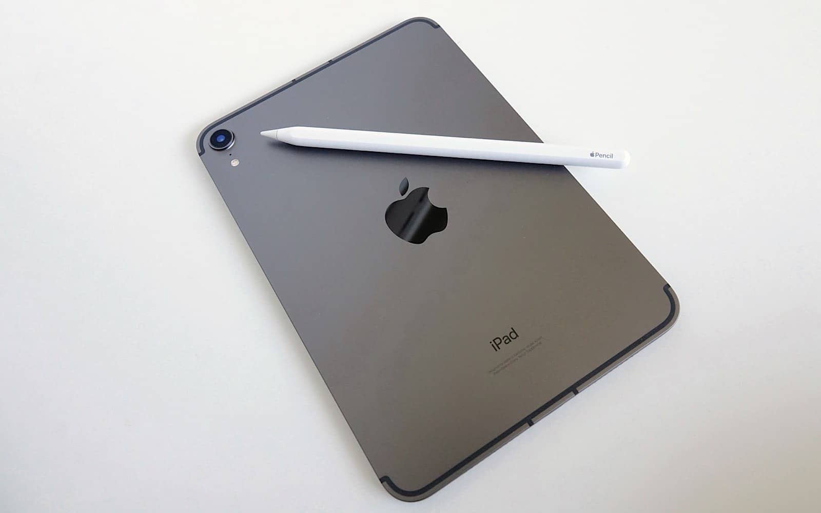 The Apple Pencil on the iPad Mini.