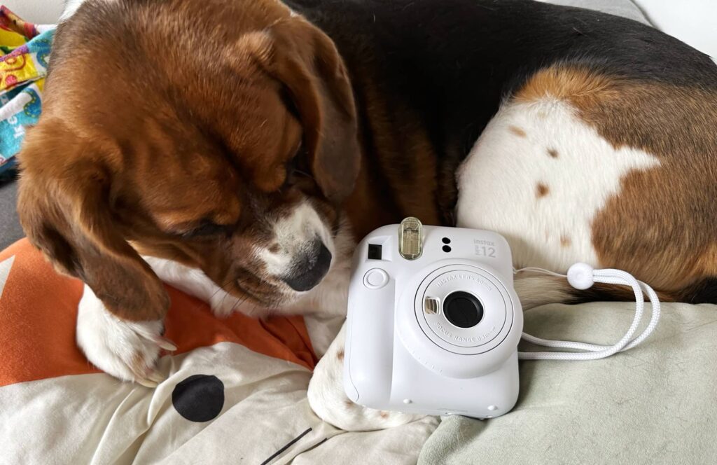 Instax Mini 12 review